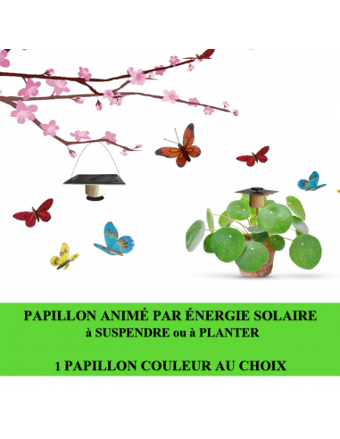 Papillon solaire animé