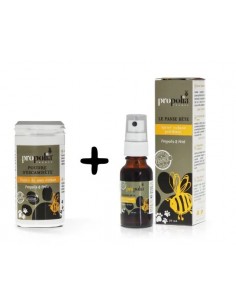 DUO de soins pour Animaux-...