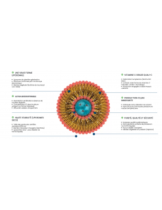 vit c liposomale 60 gélules 2