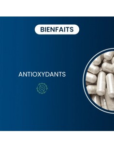 CoQ10 - Ubiquinol Kaneka... 2