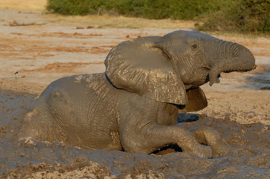 Bain d'argile