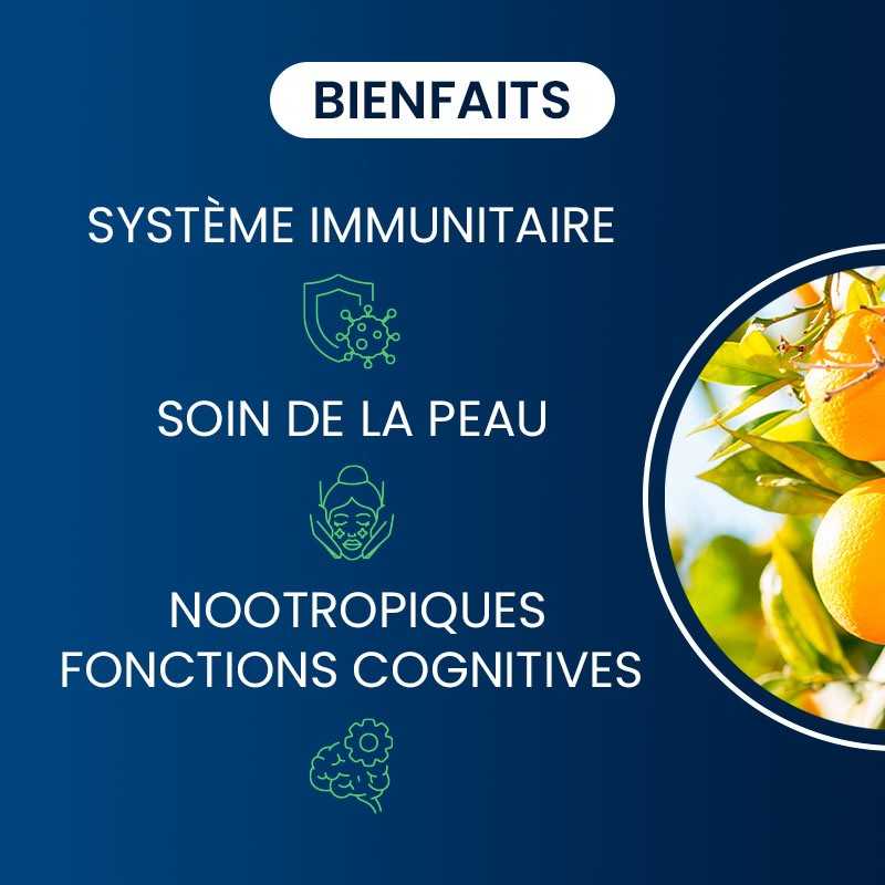 bienfaits de la Vit c liposomale en gélules