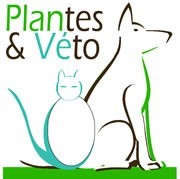 Plantes et véto