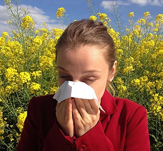 Le nez qui pique, les yeux qui grattent ? L’hydrolathérapie peut vous aider.